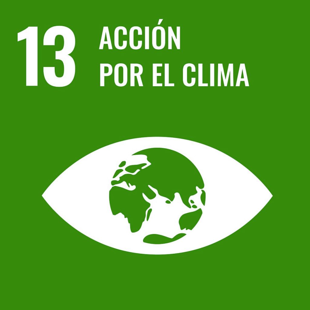ODS 13 Acción por el Clima Ecoventi compromiso ambiental