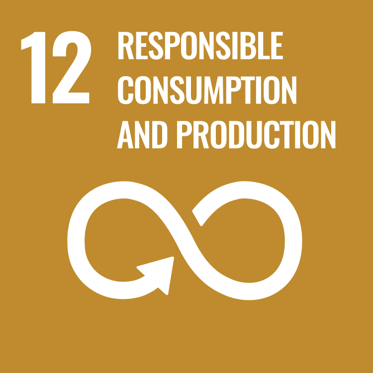 ODS 12 Producción y Consumo Responsables Ecoventi sostenibilidad